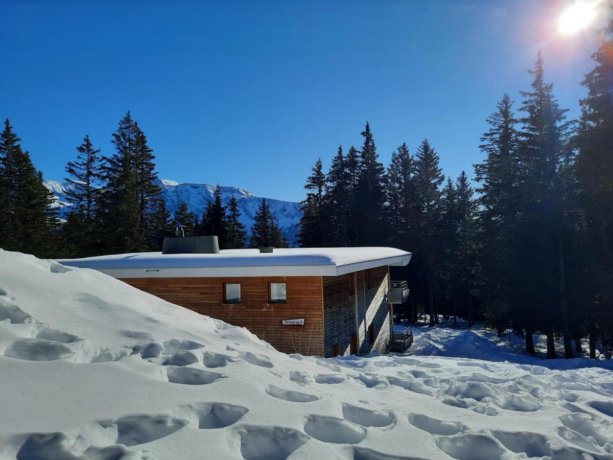 La Petite Foret Chamrousse 1700 Εξωτερικό φωτογραφία