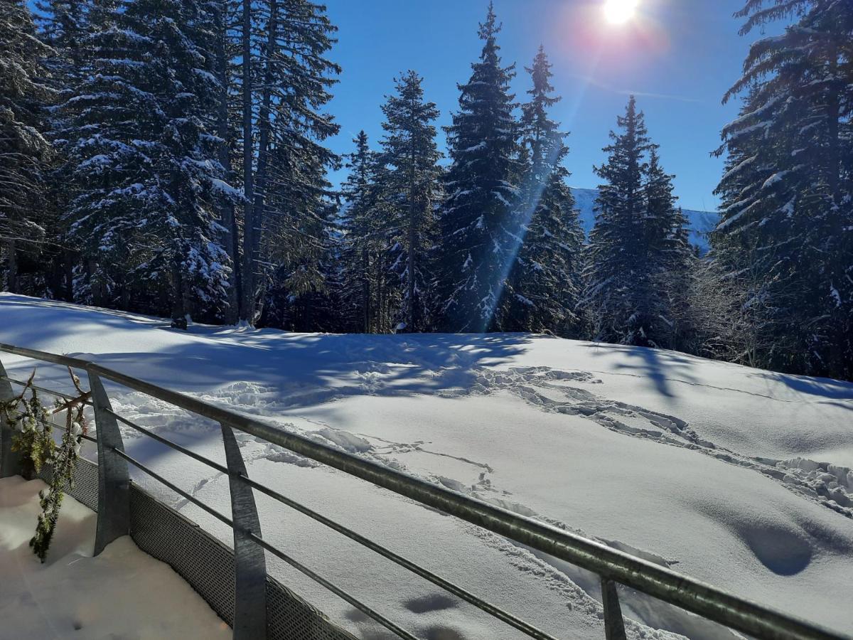 La Petite Foret Chamrousse 1700 Εξωτερικό φωτογραφία