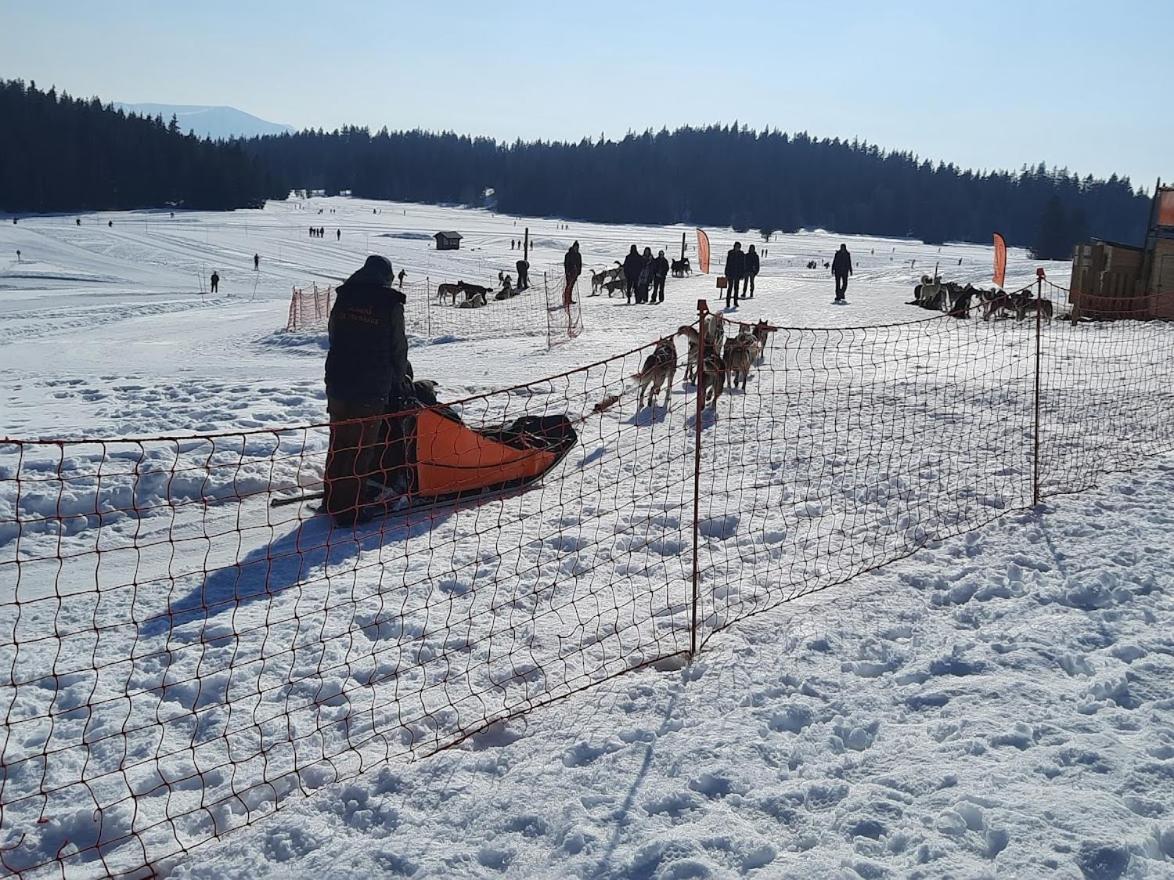 La Petite Foret Chamrousse 1700 Εξωτερικό φωτογραφία