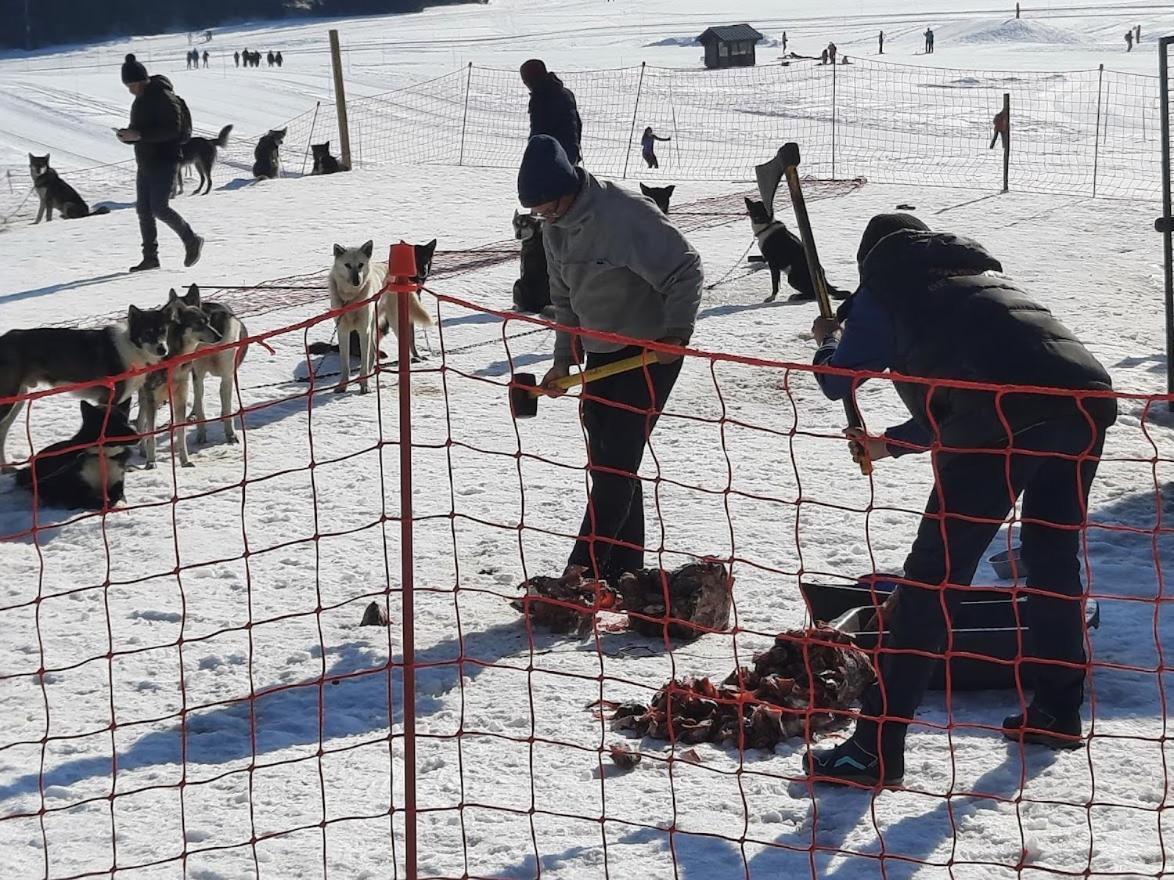 La Petite Foret Chamrousse 1700 Εξωτερικό φωτογραφία