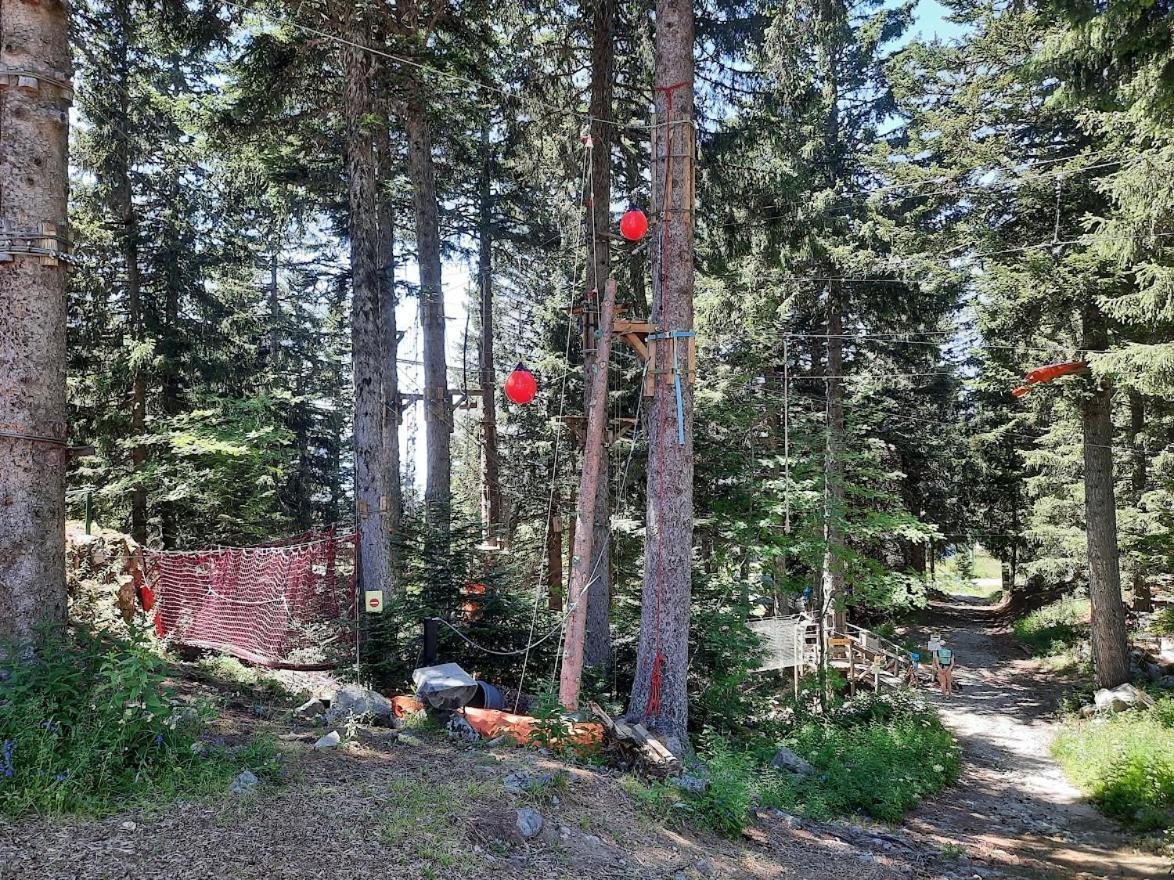 La Petite Foret Chamrousse 1700 Εξωτερικό φωτογραφία