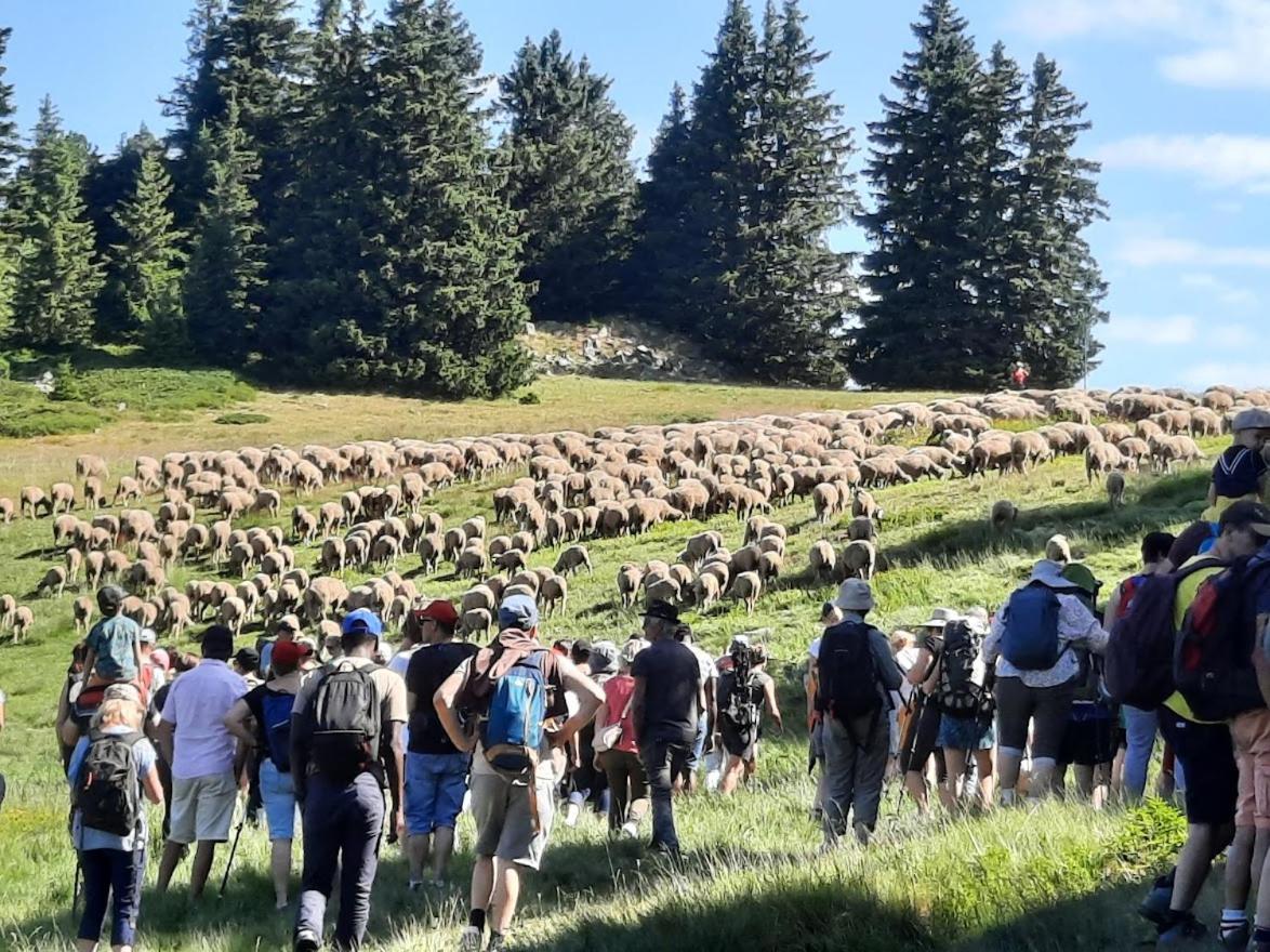 La Petite Foret Chamrousse 1700 Εξωτερικό φωτογραφία