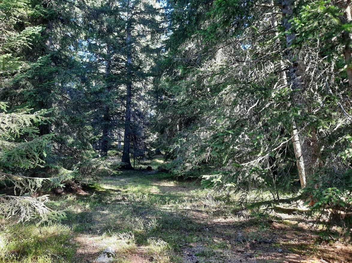 La Petite Foret Chamrousse 1700 Εξωτερικό φωτογραφία