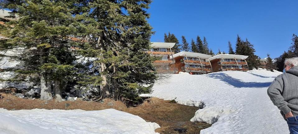 La Petite Foret Chamrousse 1700 Εξωτερικό φωτογραφία