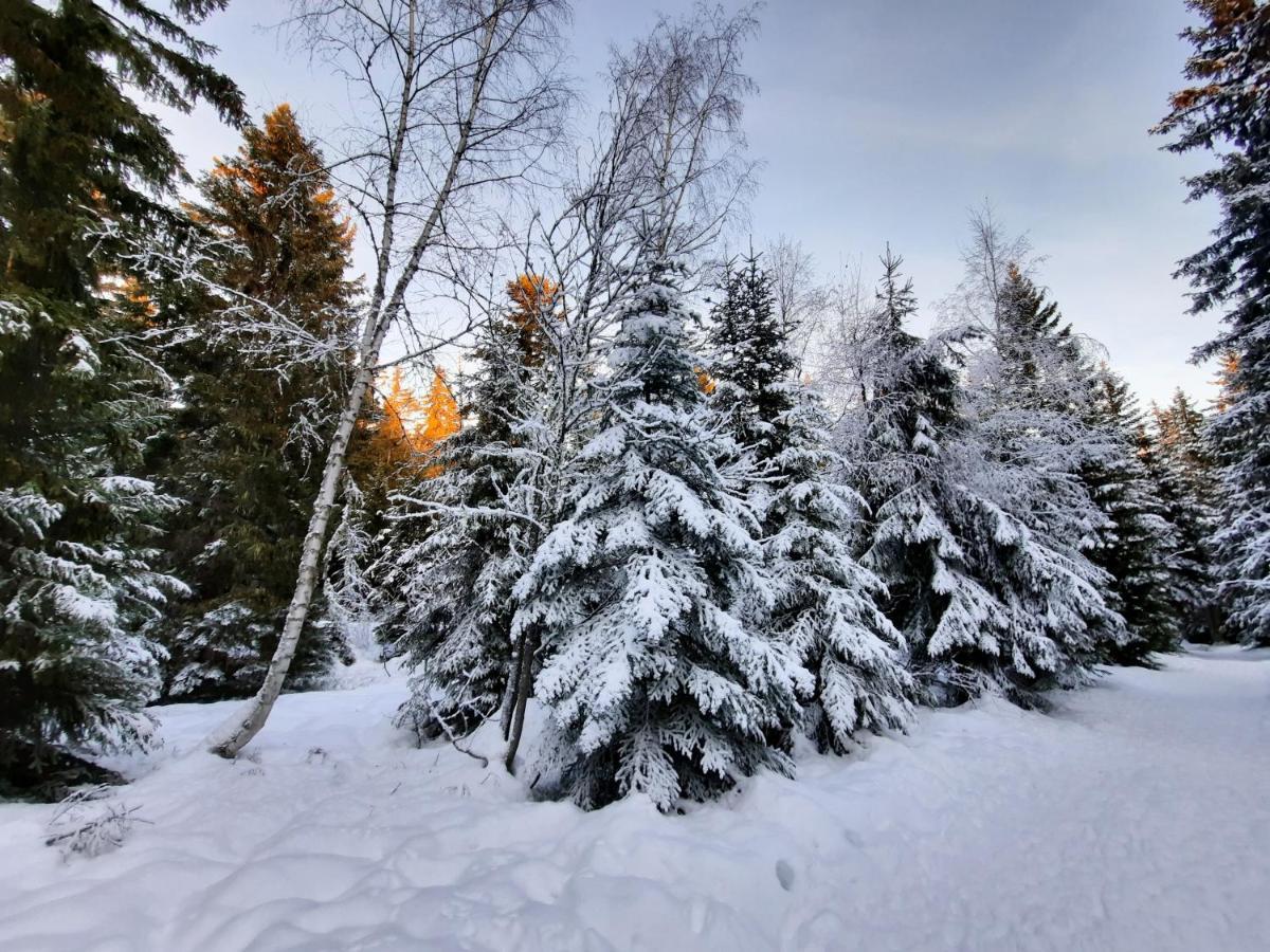 La Petite Foret Chamrousse 1700 Εξωτερικό φωτογραφία