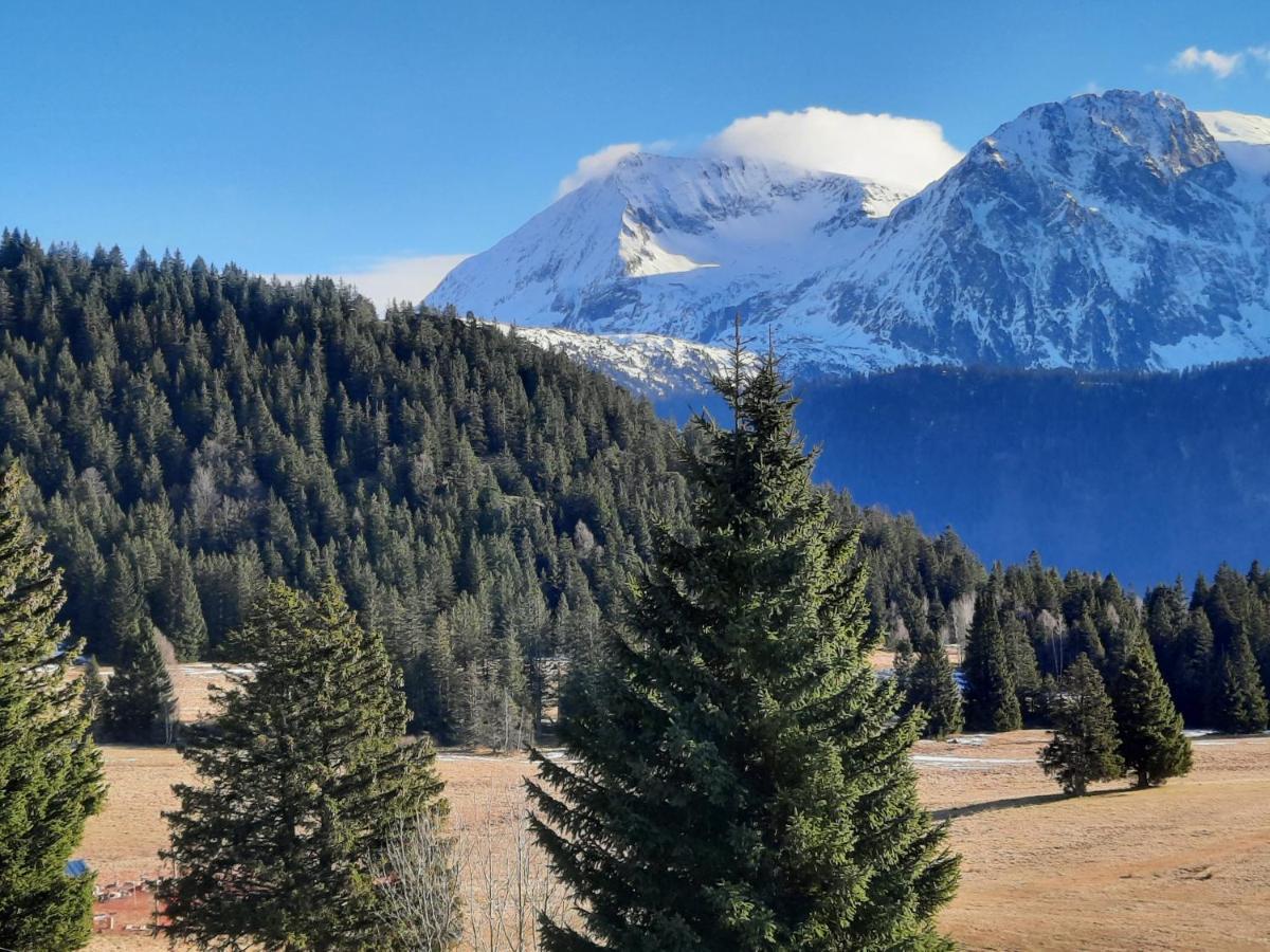 La Petite Foret Chamrousse 1700 Εξωτερικό φωτογραφία