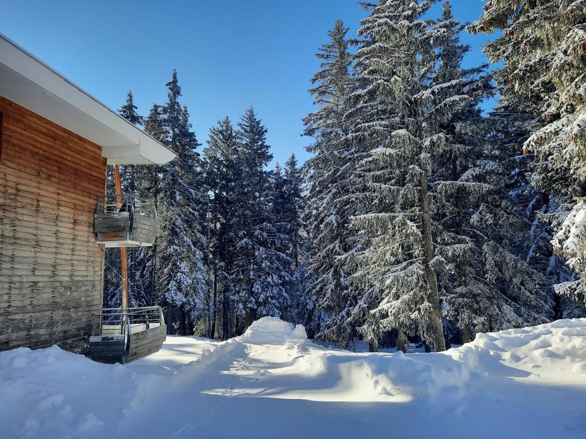 La Petite Foret Chamrousse 1700 Εξωτερικό φωτογραφία